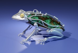 THE FROG IS A ROBOT