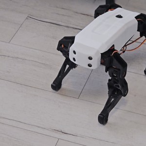 ROKI QUADRUPED ROBOT