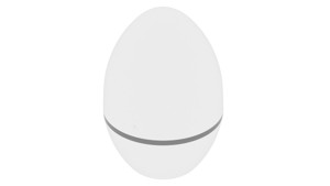 Smart Egg