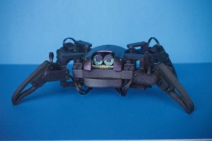 Q1 MINI QUADRUPED ROBOT 2.0 (DESIGNED BY JASON WORKSHOP)