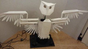 Worry Birds (Robotic Owl designed by Ainsworth, Lucas B)