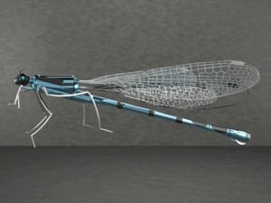 DAMSEIFLY CREATED IN PARTSOLUTIONS