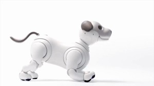 SUPORTE ALEXA ECHO POP CÃO ROBOT