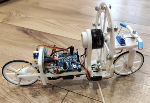 Self balancing bike