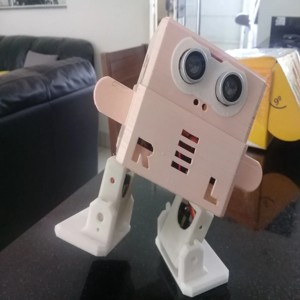 Robo Otto Winkler - pilha lipo