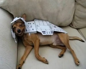 AT-AT DOG from star wars