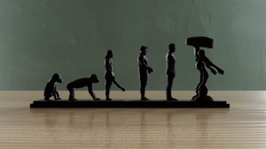 EVOLUTION OF MAN