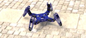 quadruped robot
