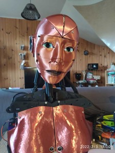 Inmoov female chest