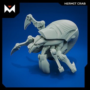 Hermit crab