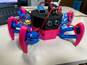 Walking hexapod with code