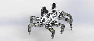 Robot Insektomorph