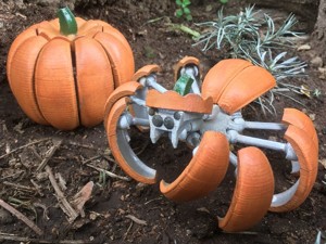 Transforming Pumpkin Spider