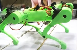 Robot Dog boston