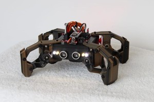 Kame: Robotic Spider arduino-nano