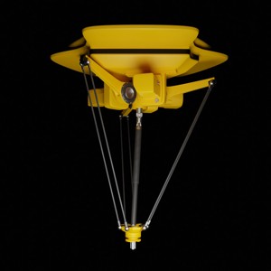 Rigged Delta robot