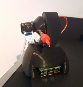 Plant Water Robot