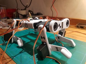 Robotic Dog