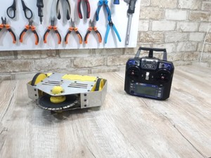 Razor - Beetleweight combat robot