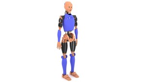 Humanoid Robot