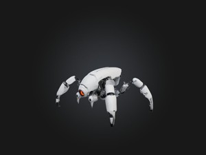RoboSpider Model