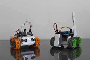 SMARS modular robot
