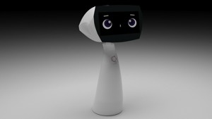 Robin Robot