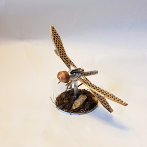 DRAGONFLY DRONE