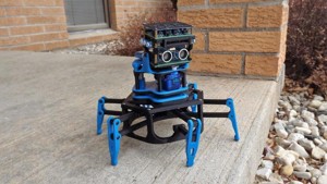 Pathfinder – Dual-Motor 6-Leg Walker