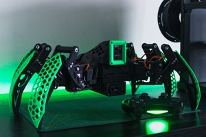 Hexapod Robot