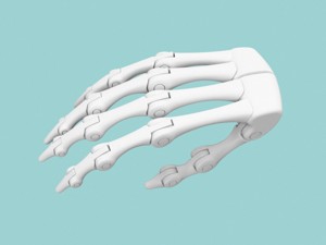 Biomimetic Hand V1