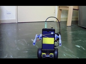 ROBOT MAX, ROBOTICS PROJECT