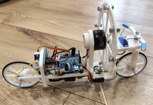 SELF BALANCING BIKE