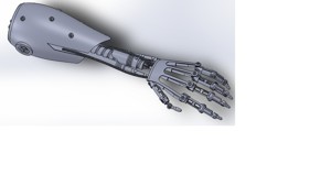 Terminator Arm