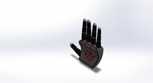 Prosthetic Hand