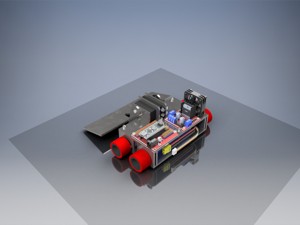 Solid Fighter Sumo Robot
