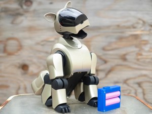 Sony Aibo ERS-210/220 Robot Dog 18650 Replacement Battery Case