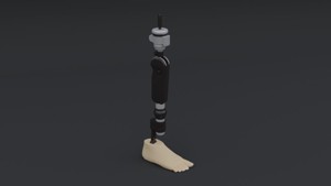 Transfemoral Prosthetic Leg