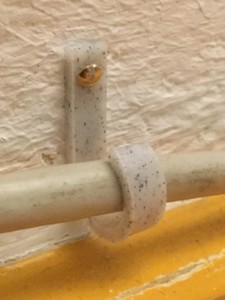 cable holder