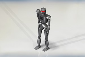 Humanoid Robot