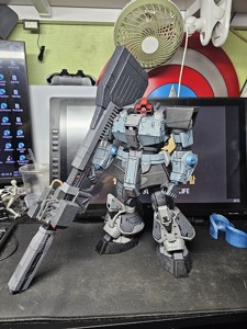 MS-09 DOM