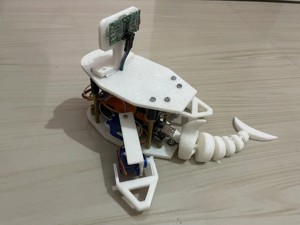 Mudskipper Robot