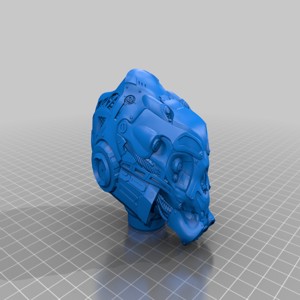 Robot Head