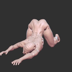 Cyberpunk Sex Doll 3D Print NSFW Model STL