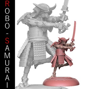 ROBO SAMURAI MK 6