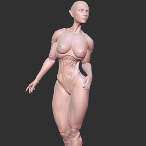 Hot Half-Robot Sci-Fi Babe 3D Model STL