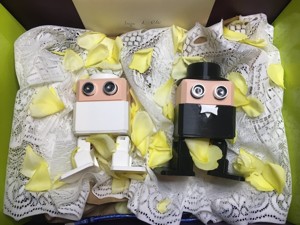 IngaDIY and OlliDIY two 3dprinted robots happylie married