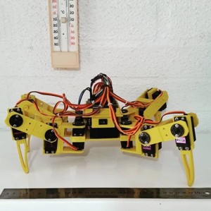 QuadBot Spider