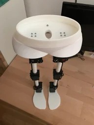 Walbi, the walking biped robot