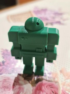 Combat robot